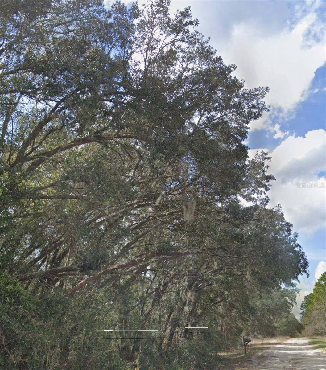 Dunnellon, FL 34431,SW 95TH PL