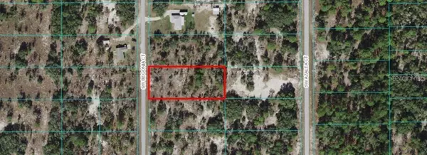 TBD SW BEGONIA CT, Dunnellon, FL 34431