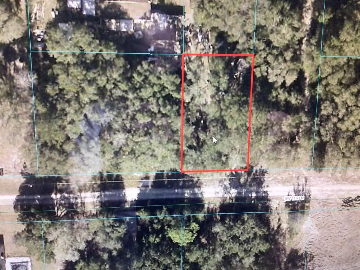 Dunnellon, FL 34432,0 SW 114TH LN