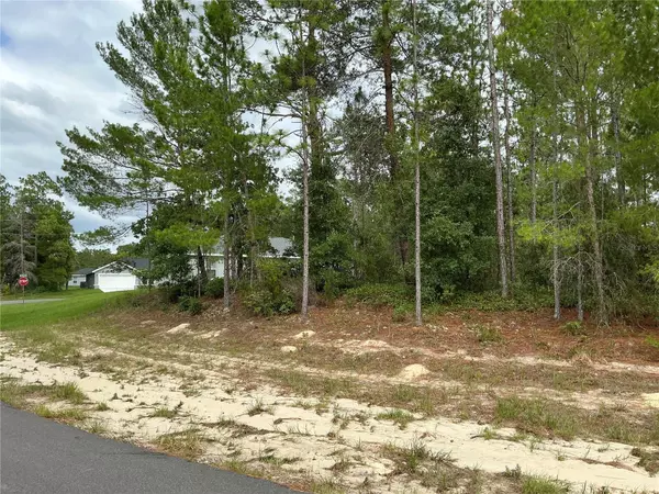 Ocala, FL 34473,LOT 1 SW 64TH LN