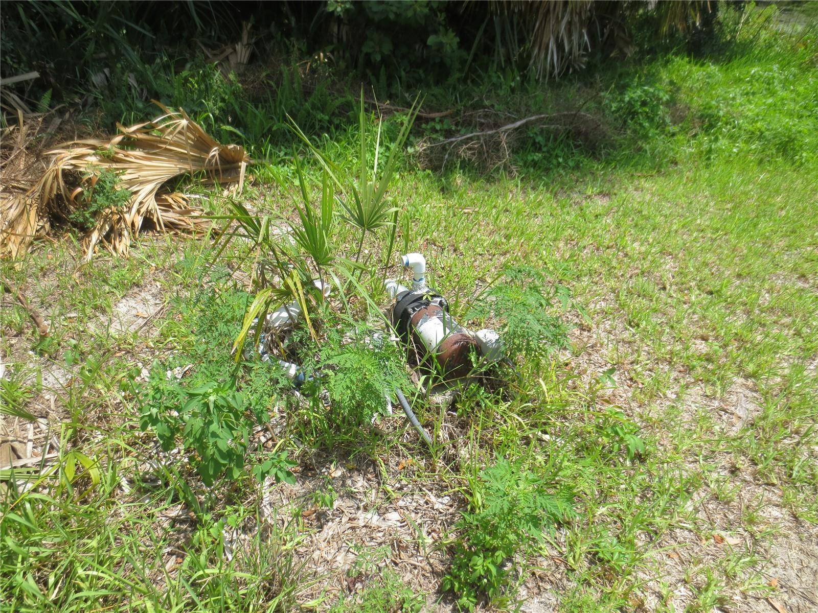 Silver Springs, FL 34488,975 SE 163RD AVENUE RD