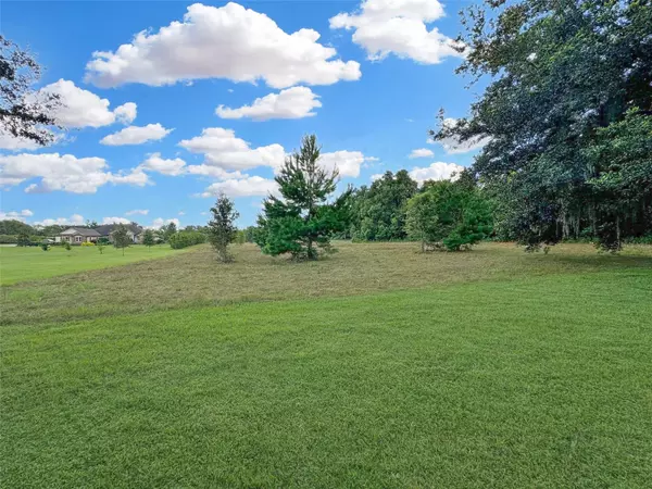 Ocala, FL 34471,TBD S MAGNOLIA AVE