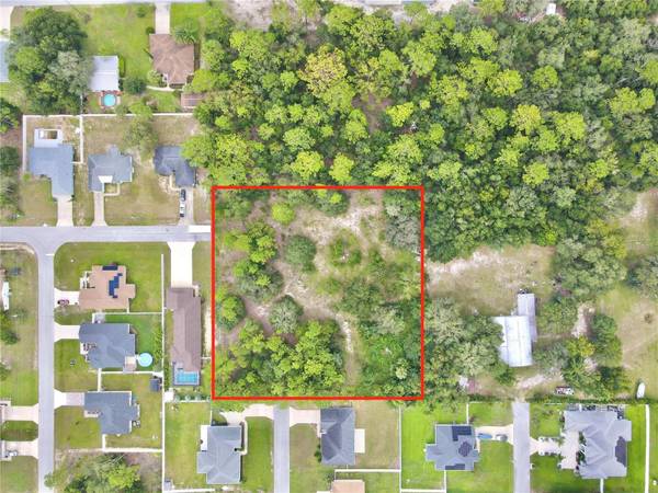 SE 161ST PL, Summerfield, FL 34491