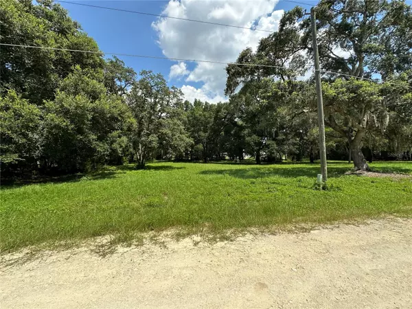 Dunnellon, FL 34432,0 SW 114TH PL