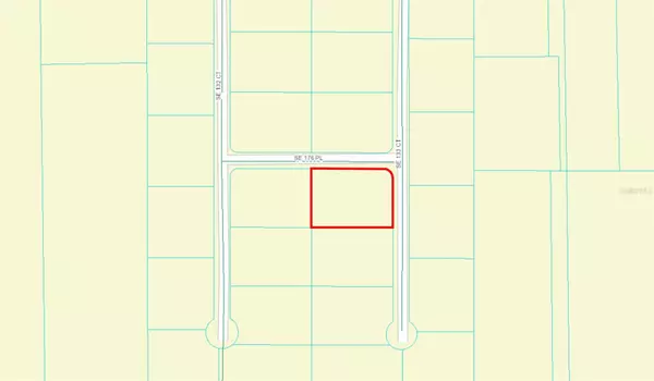 Weirsdale, FL 32195,SE 133RD CT