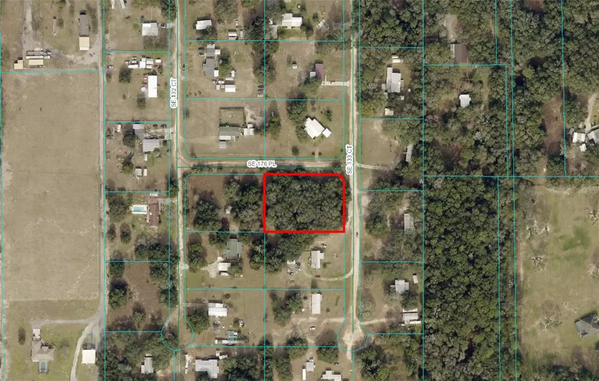 Weirsdale, FL 32195,SE 133RD CT