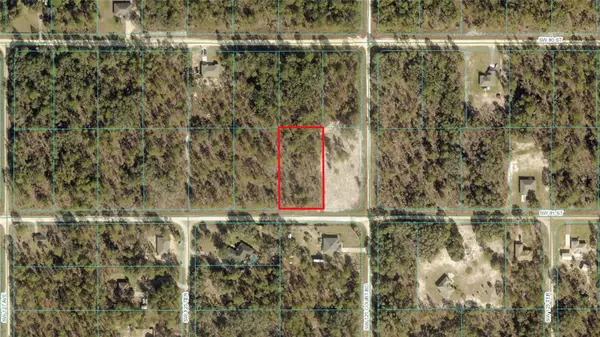 Dunnellon, FL 34432,00 SW 81ST ST