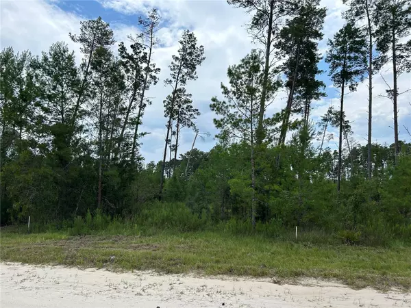 TBD SE 58TH LN, Morriston, FL 32668