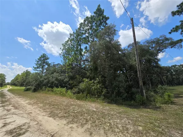 TBD SW 122ND AVE,  Lot 10,  FL 34432
