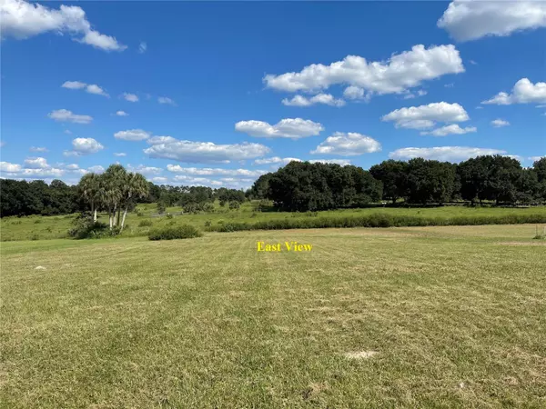 Weirsdale, FL 32195,0 SE 160TH TERRACE RD