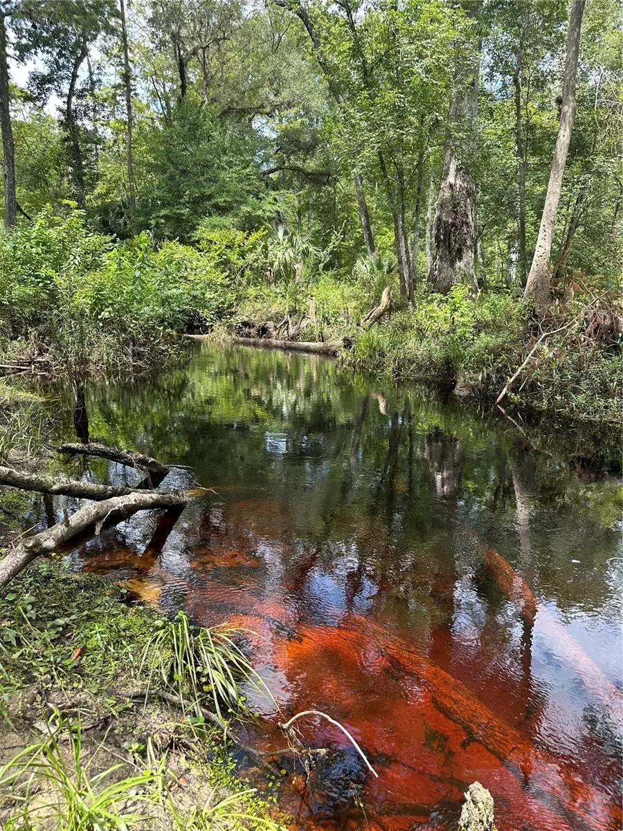 Fort Mc Coy, FL 32134,TBD NE E HWY 318 HWY