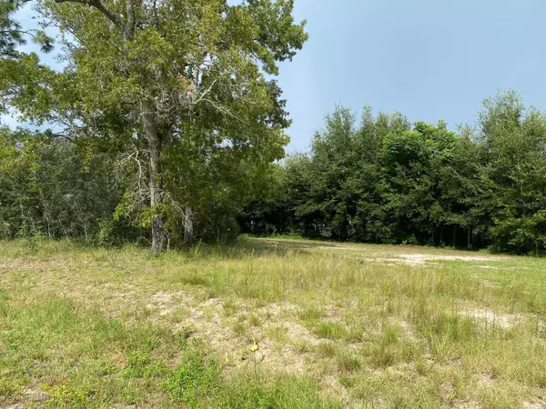 Summerfield, FL 34491,TBD SE 90TH CT