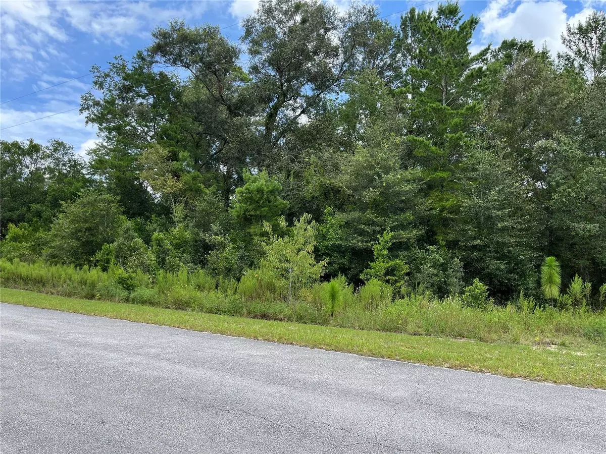 Dunnellon, FL 34431,TBD SW TAMIAMI PL