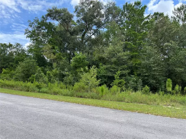 TBD SW TAMIAMI PL, Dunnellon, FL 34431