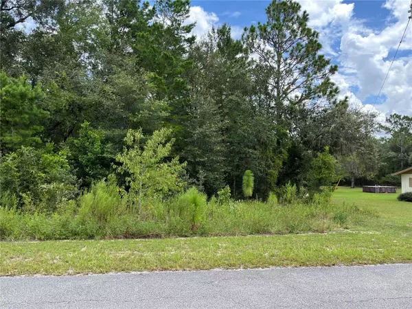 Dunnellon, FL 34431,TBD SW TAMIAMI PL