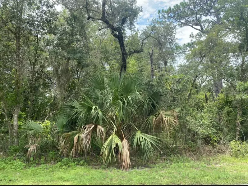 Lot 13 SW SEA CLIFF AVE, Dunnellon, FL 34431