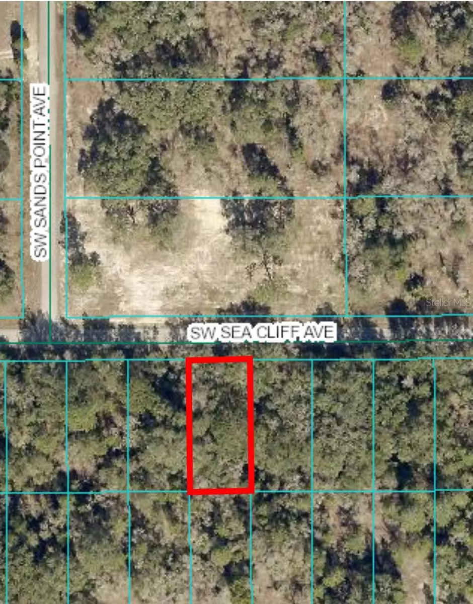 Dunnellon, FL 34431,SW SEA CLIFF AVE