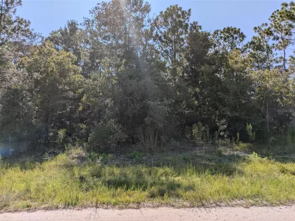 Ocala, FL 34481,TBD SW 136TH AVE