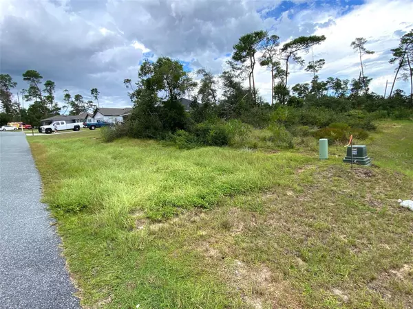 Ocala, FL 34473,TBD SW 158TH LANE RD