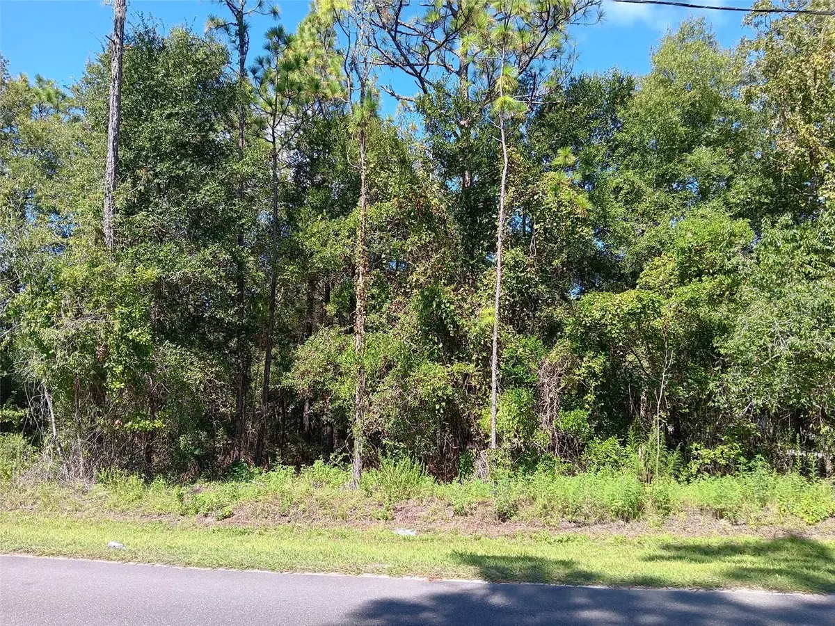 Williston, FL 32696,00 NE 126TH AVE