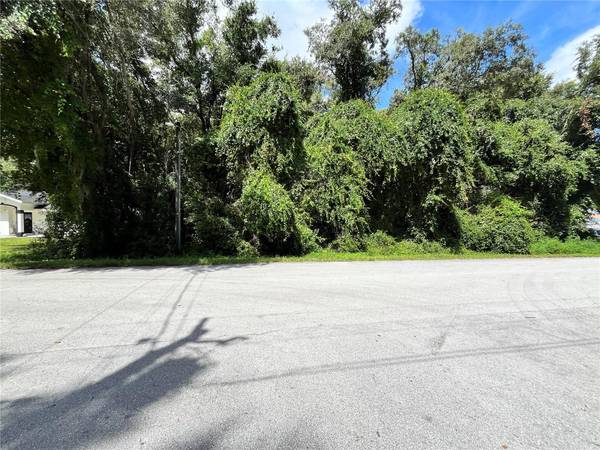 00 SE 92 TER, Summerfield, FL 34491