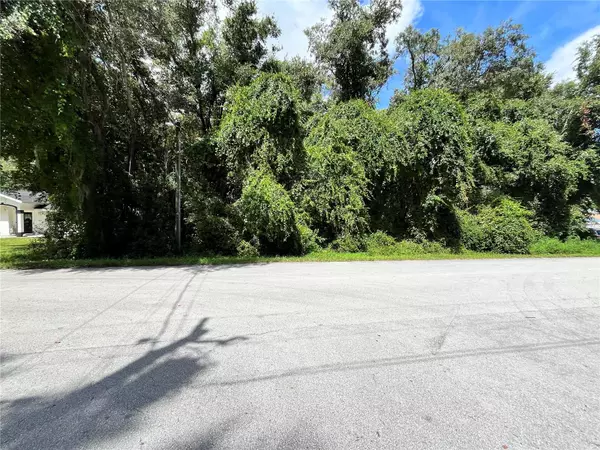 00 SE 92 TER,  Summerfield,  FL 34491