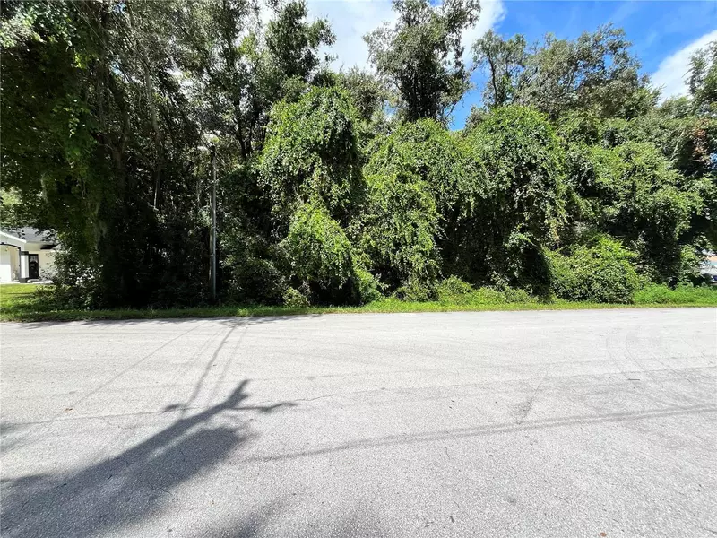 00 SE 92 TER, Summerfield, FL 34491