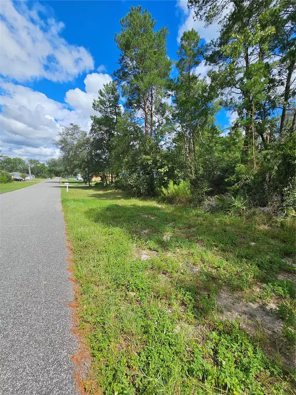 Ocala, FL 34473,00 SW 165TH ST RD