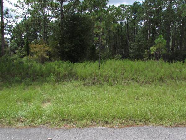 Lot 19 SW 207 CT,  Dunnellon,  FL 34431