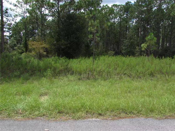 Lot 19 SW 207 CT, Dunnellon, FL 34431