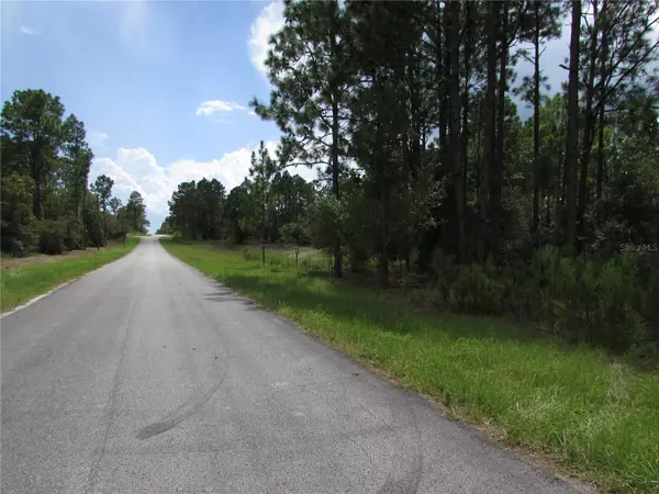 Dunnellon, FL 34431,Lot 19 SW 207 CT