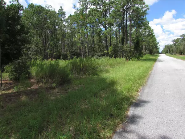 Dunnellon, FL 34431,Lot 19 SW 207 CT