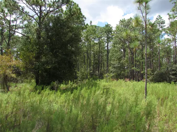 Dunnellon, FL 34431,Lot 19 SW 207 CT