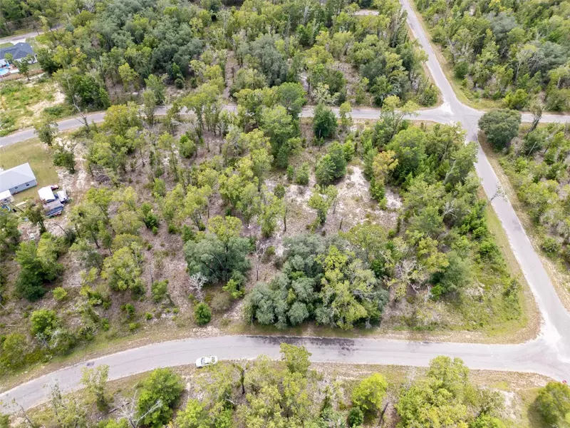 TBD FISHER LANE TRCE, Ocklawaha, FL 32179