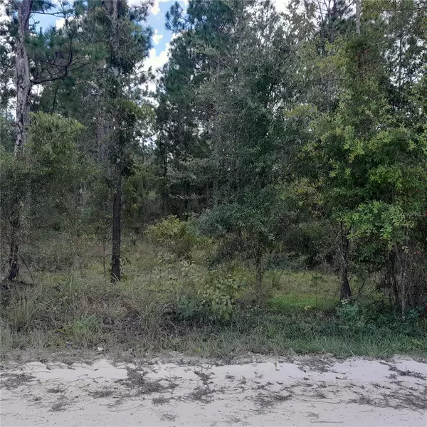 Morriston, FL 32668,13620 SE 23RD PL