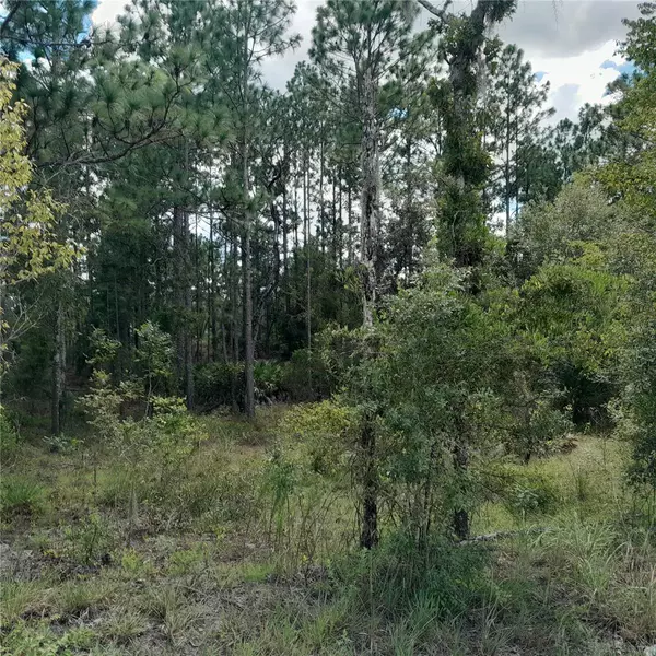 Morriston, FL 32668,13620 SE 23RD PL