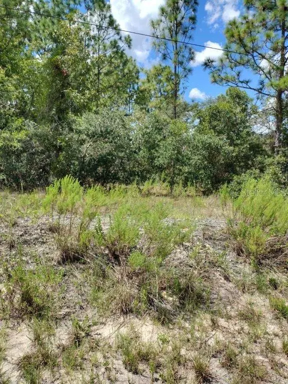 Dunnellon, FL 34431,0 SW COTTONWOOD LN