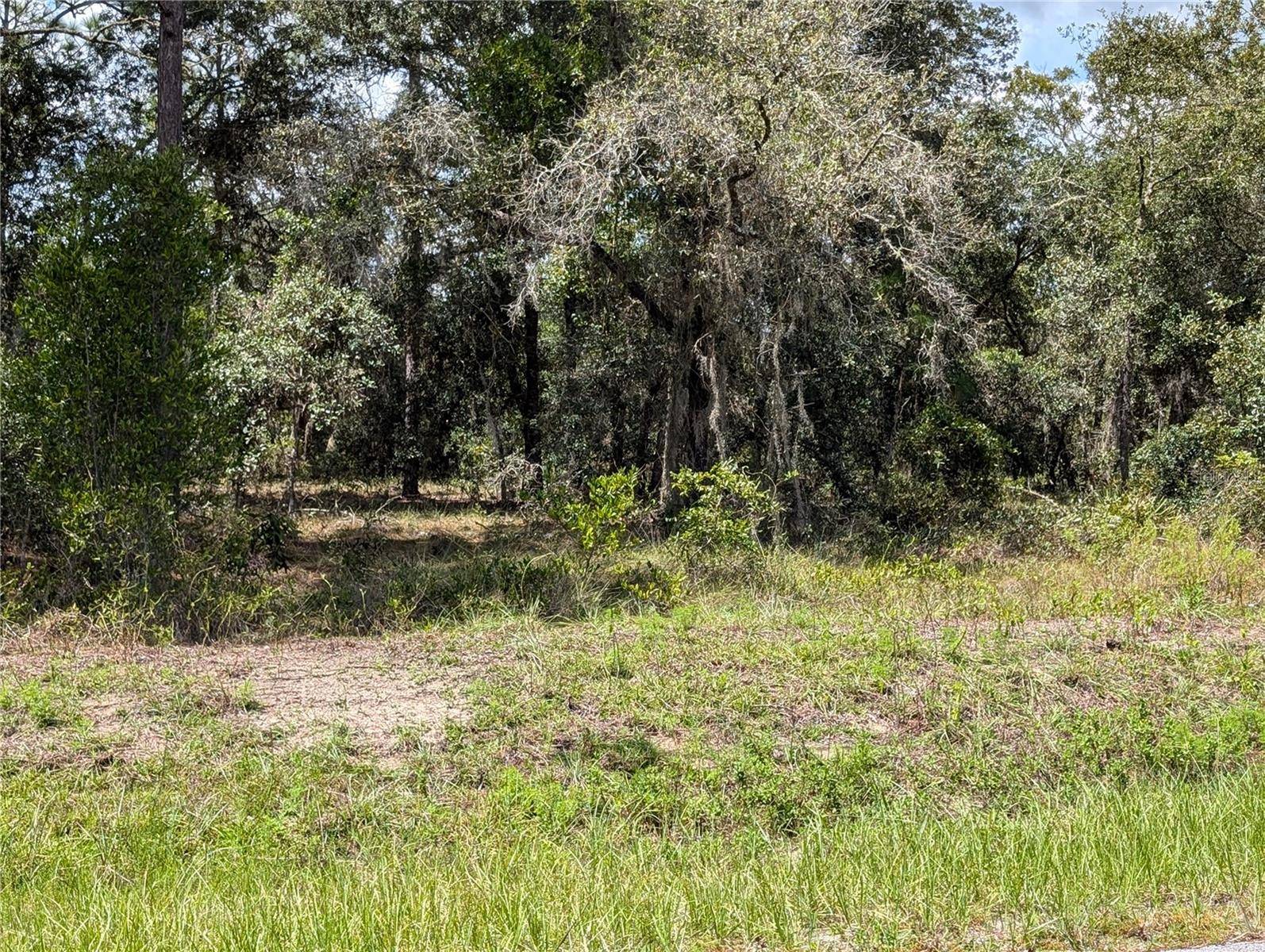 TBD SW LOBELIA CT, Dunnellon, FL 34431