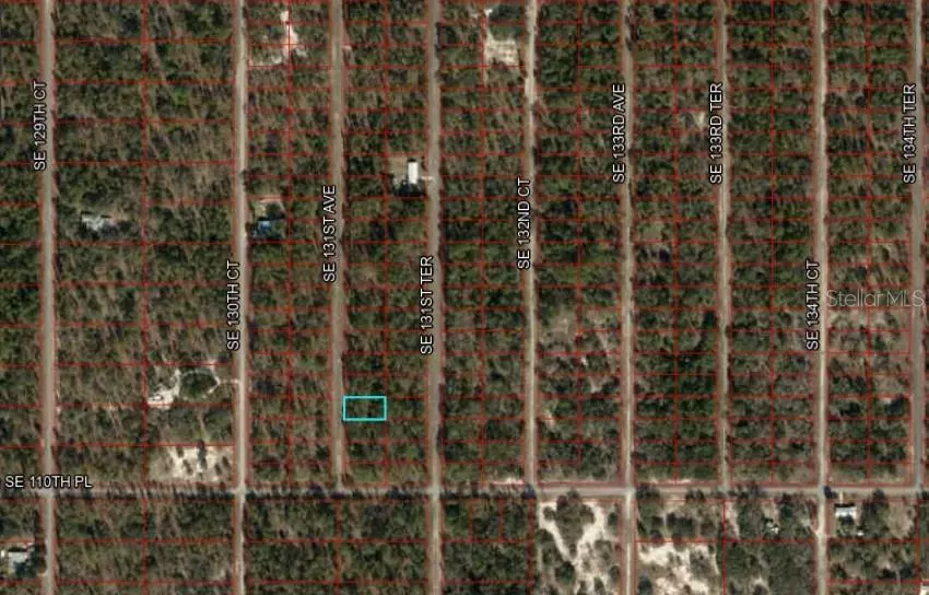 Dunnellon, FL 34431,S.E. 131ST AVE