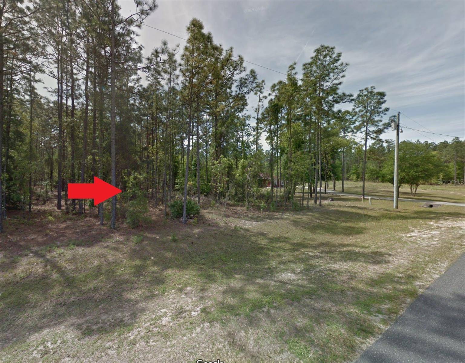 SW 61ST PLACE RD,  Ocala,  FL 34481