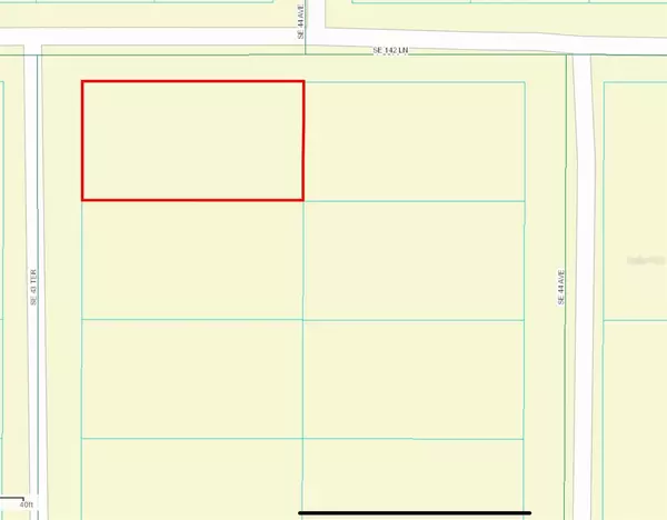 Summerfield, FL 34491,TBD SE 142 LN