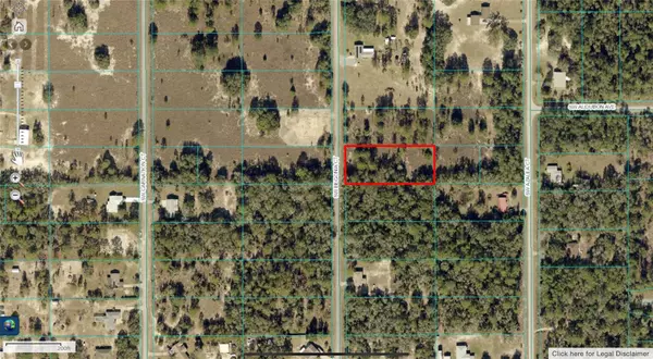 Dunnellon, FL 34431,BEGONIA CT