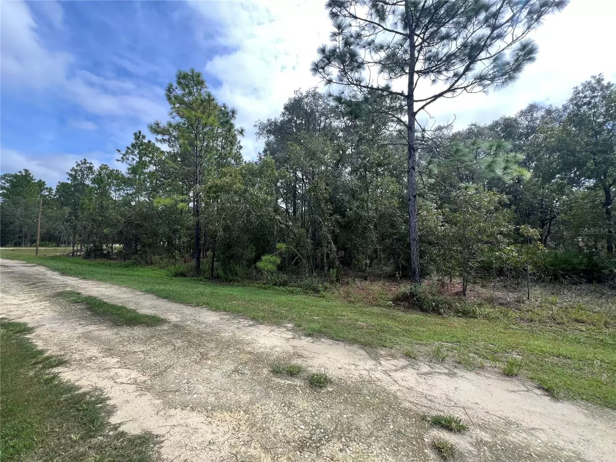 Dunnellon, FL 34432,TBD SW 138TH TER