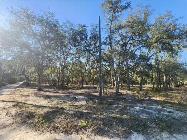 Bronson, FL 32621,TBD NE 122ND CT