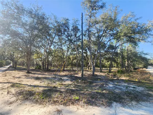 Bronson, FL 32621,00 NE 122ND CT