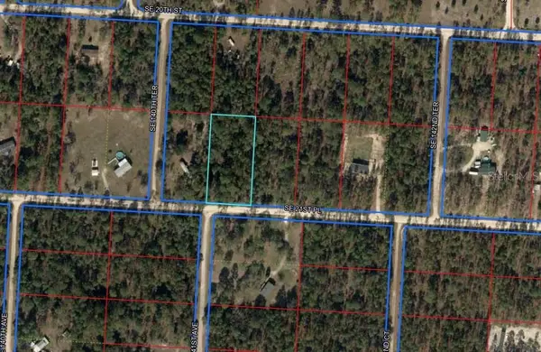 Lot 8 SE 21 PL, Morriston, FL 32668