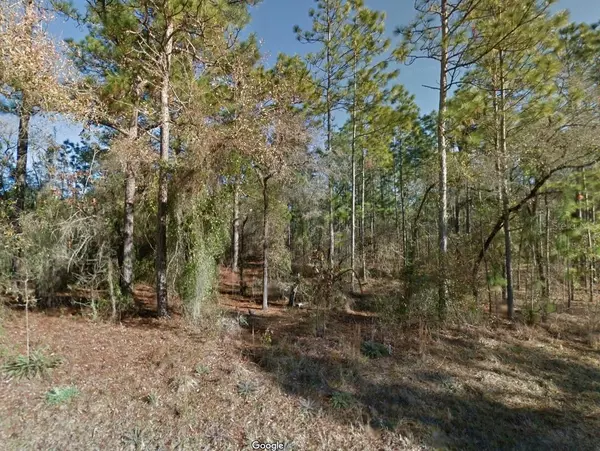 Morriston, FL 32668,Lot 8 SE 21 PL