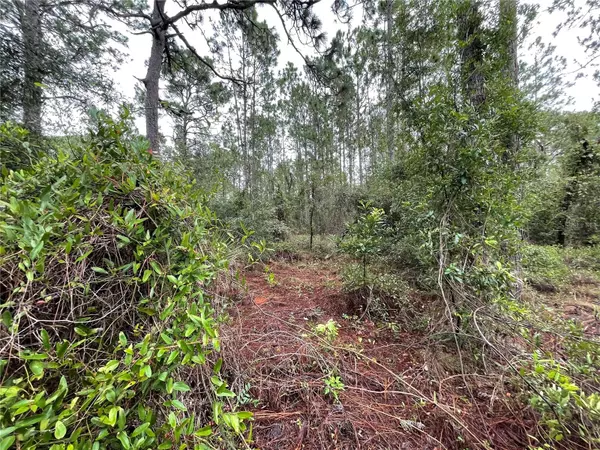 Morriston, FL 32668,Lot 8 SE 21 PL