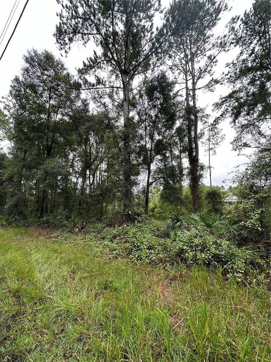 Fort Mc Coy, FL 32134,TBD NE 155TH ST