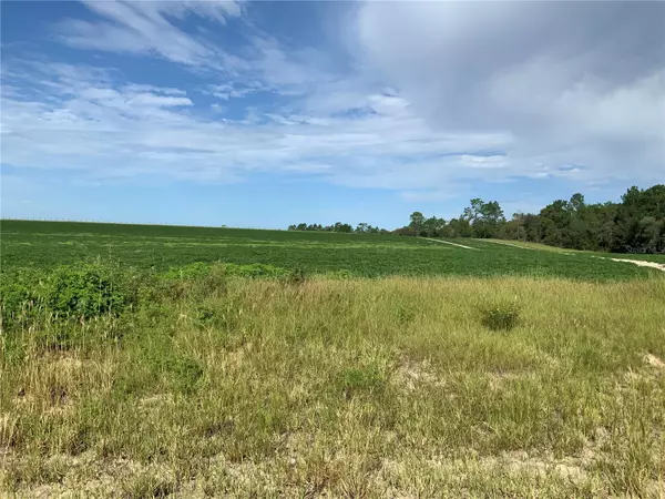 Morriston, FL 32668,00 SE 136TH TER